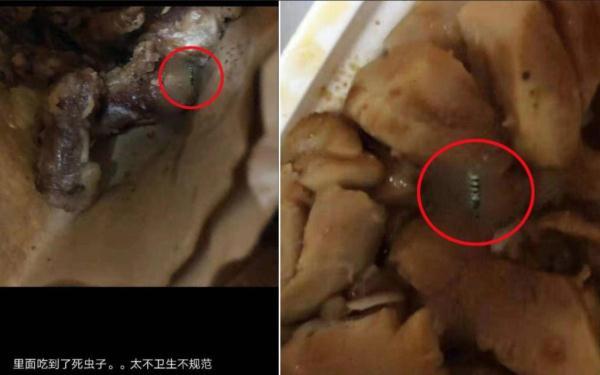 「光明网」给外卖“添加”虫子，申请退款骗吃骗喝坑商家！男子被拘留
