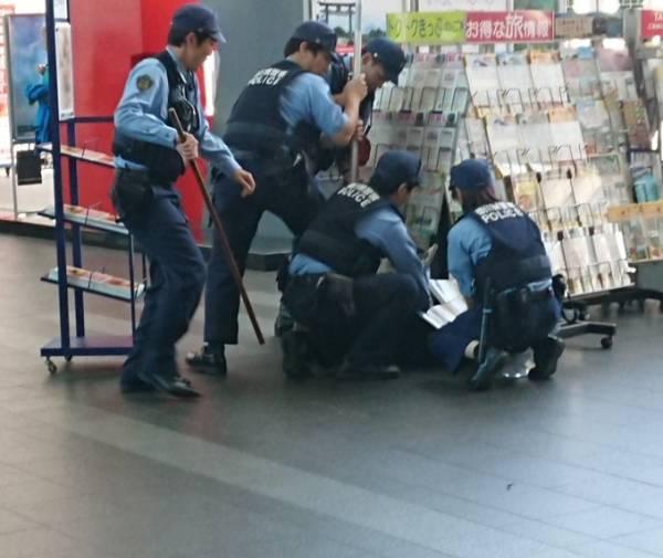 观察者网■猪突猛进！日本野猪台风天狂奔逃命