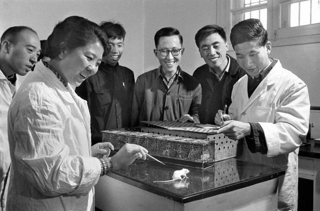 「新华网」70年，中国在自主创新中不断取得科技突破