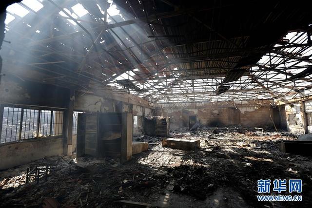 「新华网」黎巴嫩：山林大火过后