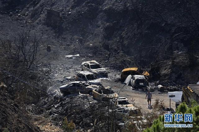 「新华网」黎巴嫩：山林大火过后