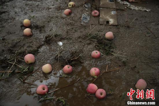 中国新闻网：日本灾区台风后变泽国 灾民地上拼出“水、食物”