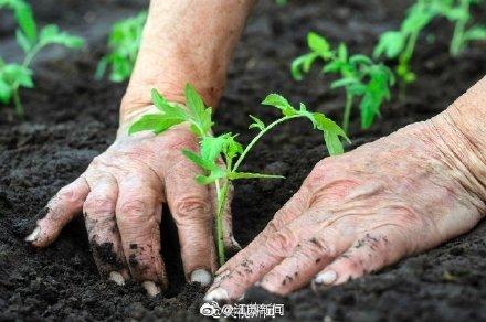 光明网：这些照片请转给你认识的人 为了这些农民