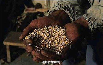 光明网：这些照片请转给你认识的人 为了这些农民