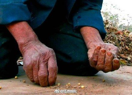 光明网：这些照片请转给你认识的人 为了这些农民