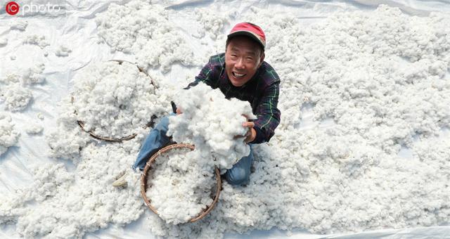 「人民网」世界粮食日之际看各国丰收盛景