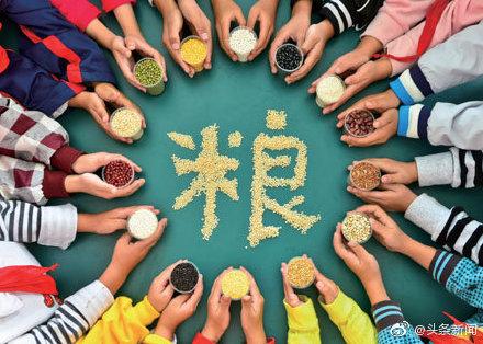 「光明网」第39个世界粮食日 生活富裕了还有必要节约粮食吗