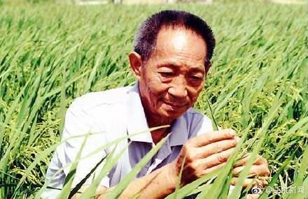 「光明网」第39个世界粮食日 生活富裕了还有必要节约粮食吗