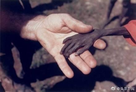 「光明网」第39个世界粮食日 生活富裕了还有必要节约粮食吗