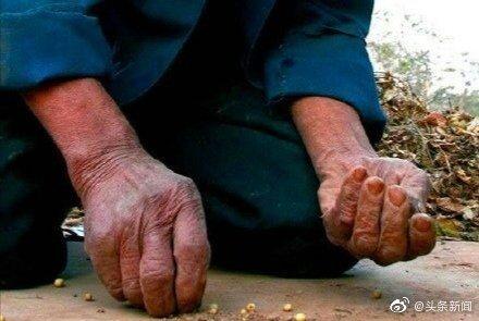 「光明网」第39个世界粮食日 生活富裕了还有必要节约粮食吗