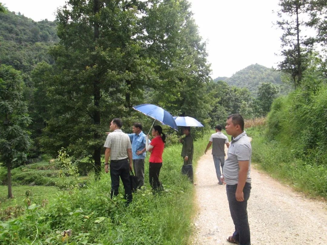 半月谈@今天，致敬那些倒在扶贫路上的基层干部