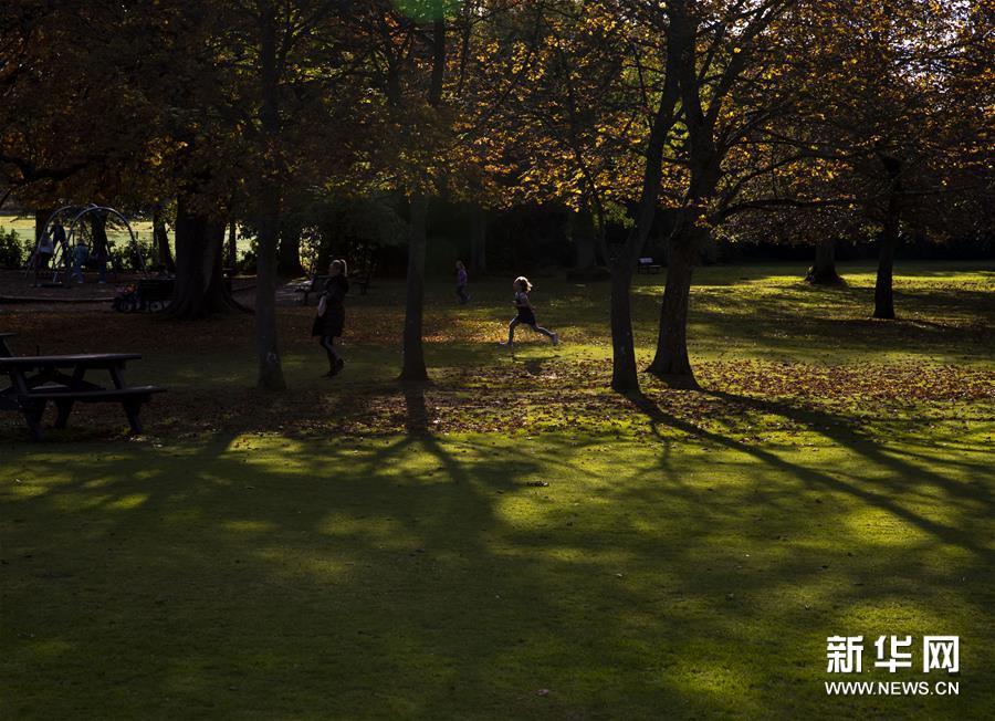 10月14日,在英国苏格兰北部城市阿伯丁,人们在公园休闲.