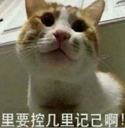 [光明网]三名男子被抓，民警：你抓娃娃了