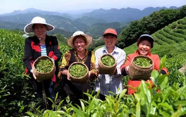 「新京报」铁路12306APP扶贫商城上线