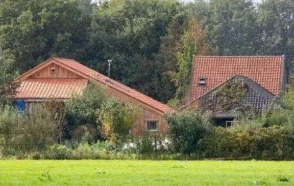 「新闻晨报」一家7口躲地窖里生活9年，不看病不上学，只为躲避“世界末日”