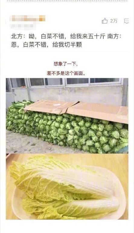 「光明网」又到东北买冬菜的季节，南方网友却不淡定了