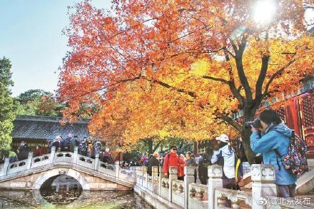 「光明网」香山公园周末迎客流高峰：建议市民游客提前网上预约、错峰游览