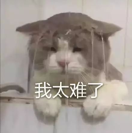 #文汇报#朋友圈都要代写？3元、60元都有，成了明码标价的生意！你会花钱买吗？