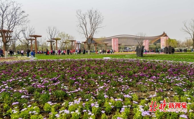 北京晚报■北京世园会园区今起重新开放，购票窗口仍排长队