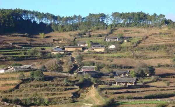 澎湃新闻@气候变化背景下的农业调研：危机四伏的现代农业