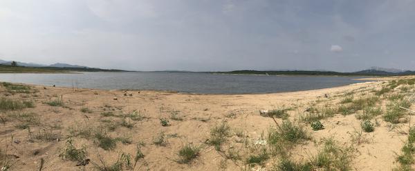 澎湃新闻@气候变化背景下的农业调研：危机四伏的现代农业