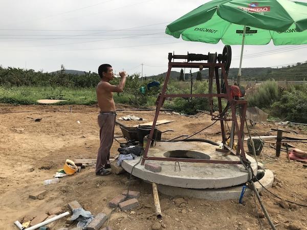 澎湃新闻@气候变化背景下的农业调研：危机四伏的现代农业