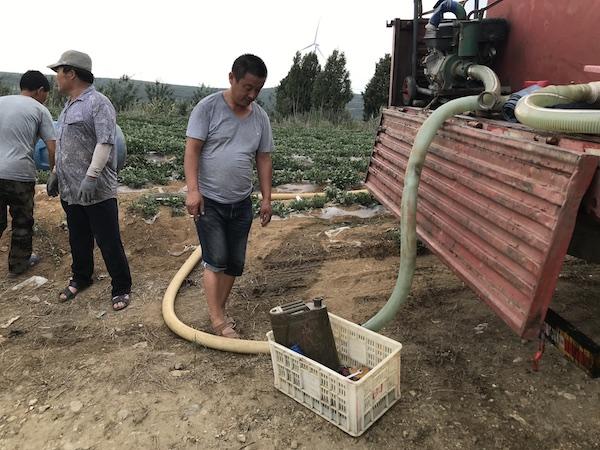 澎湃新闻@气候变化背景下的农业调研：危机四伏的现代农业