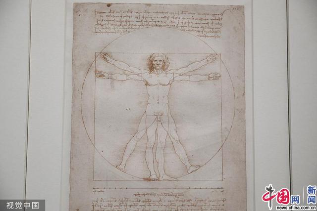 「中国网」法国卢浮宫举办达·芬奇逝世500周年纪念画展