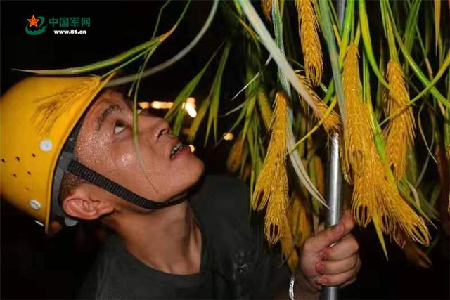[中国军网]揭秘丨军运会开幕式“地下工作者”的幕后故事