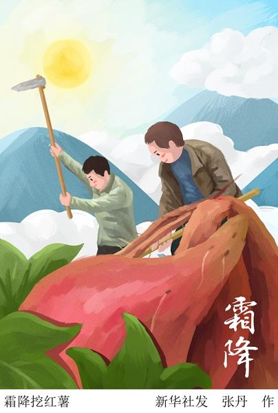 新华网：“千树扫作一番黄”：24日1时20分“霜降”