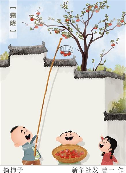 新华网：“千树扫作一番黄”：24日1时20分“霜降”
