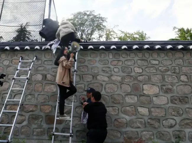 「央视今日亚洲」为美式霸权买单？韩国民众坚决说“不”