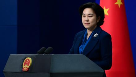 上观新闻：纳瓦罗造假攻击中国 华春莹：荒谬，危险