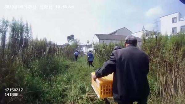光明网■大白天老人的33只鸡被当街“抢”走，还蒙受冤屈，民警还原真相