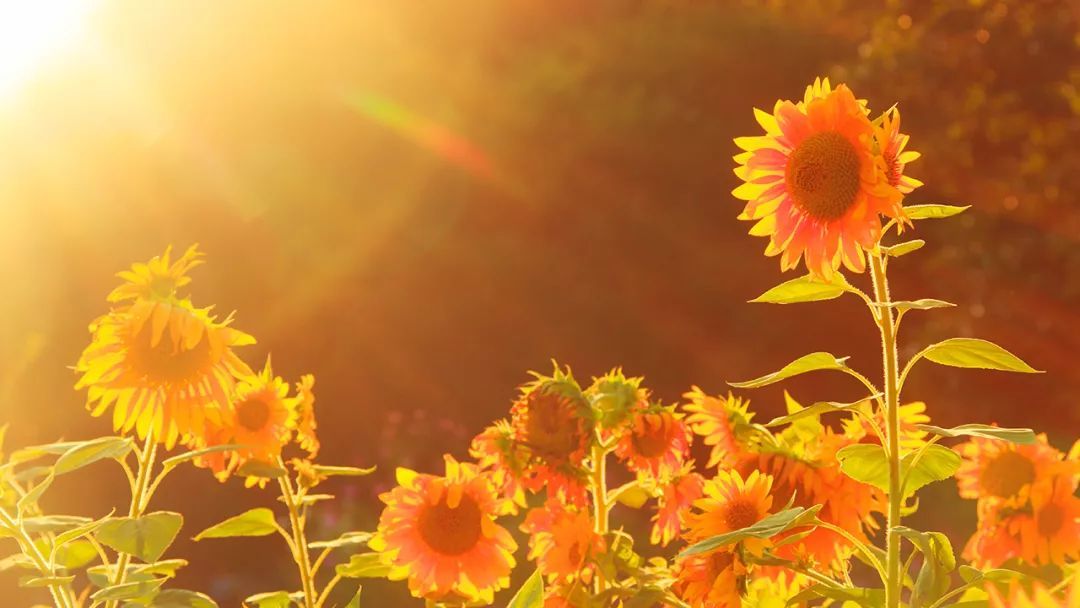 「央视一套」晨读丨你的美好，要靠自己去成全