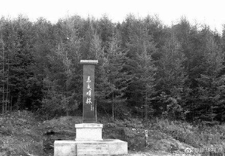 [光明网]“伐木能手”马永顺：造林17年，植树5万棵