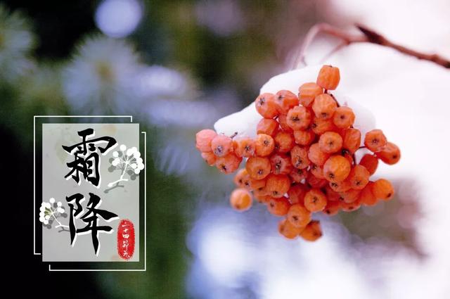 【女性之声】今日霜降|这是秋的谢幕，也是冬的问候