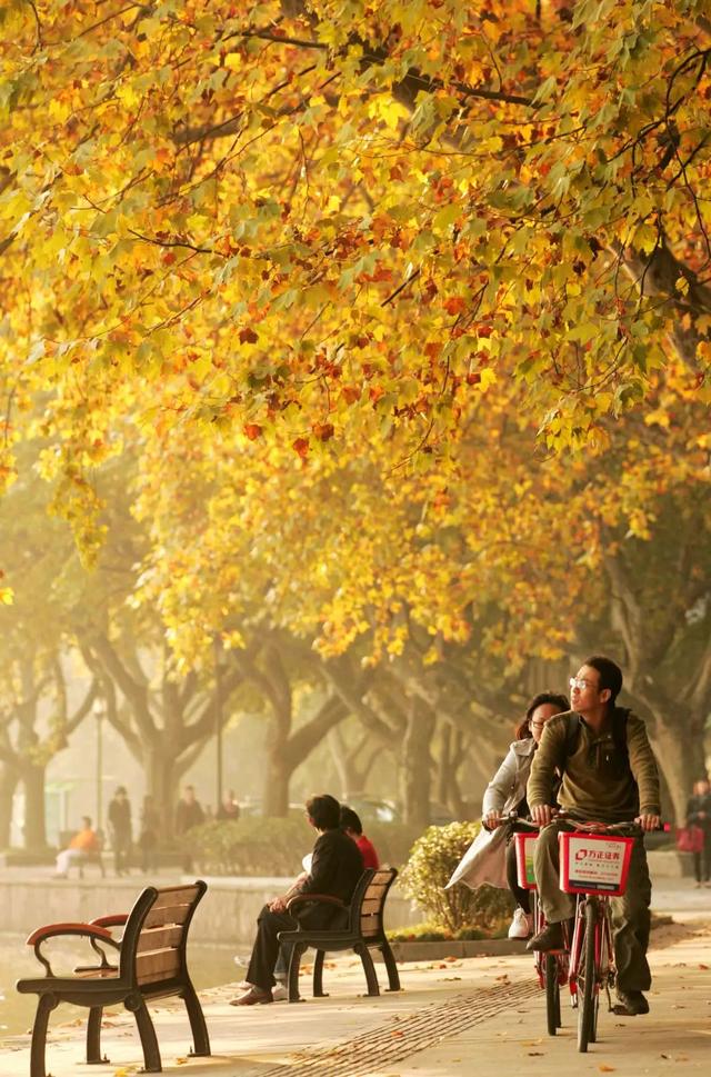【女性之声】今日霜降|这是秋的谢幕，也是冬的问候