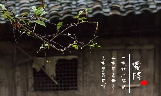 【女性之声】今日霜降|这是秋的谢幕，也是冬的问候