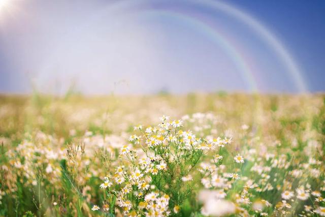 【女性之声】今日霜降|这是秋的谢幕，也是冬的问候