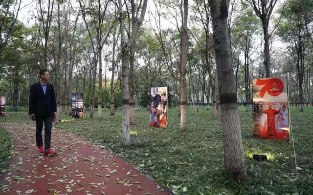 新京报@影展、演出、集市……将府公园森林影像艺术季开幕