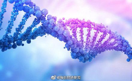 光明网■日本开发出完全由人类细胞制成的人工血管