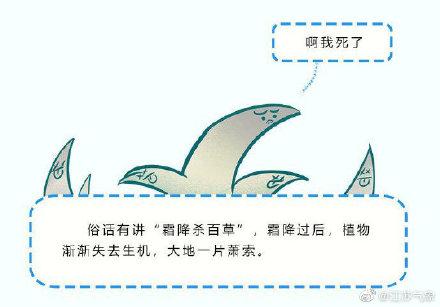 #光明网#霜降和降霜，你能分清吗？