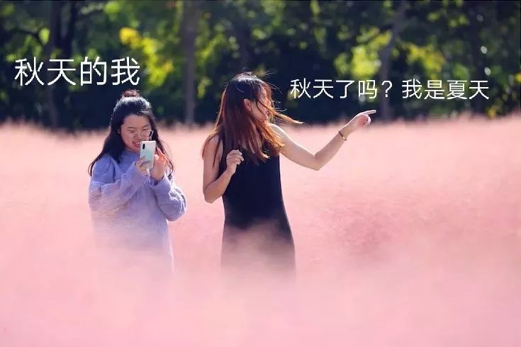 中国气象局：南北天气图鉴！南方暖春穿半袖 北方寒冬裹成球（多图预警）