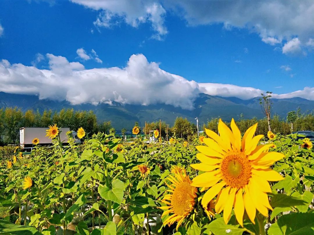 中国气象局：南北天气图鉴！南方暖春穿半袖 北方寒冬裹成球（多图预警）