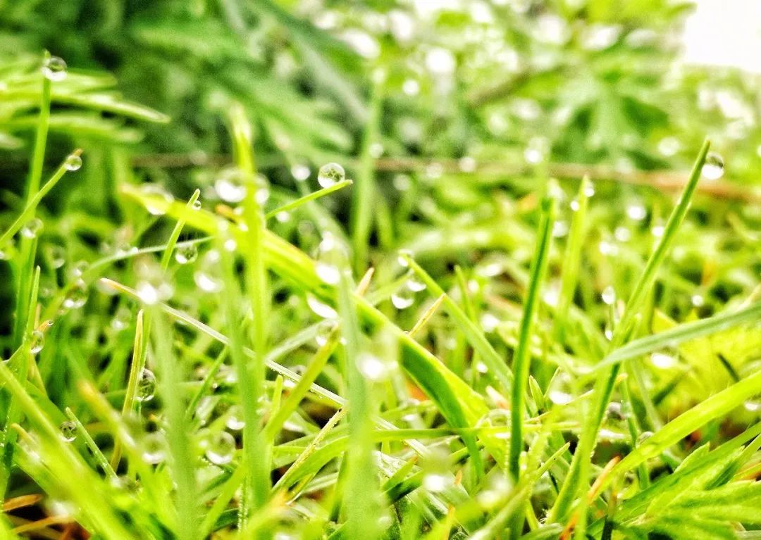 中国气象局：南北天气图鉴！南方暖春穿半袖 北方寒冬裹成球（多图预警）