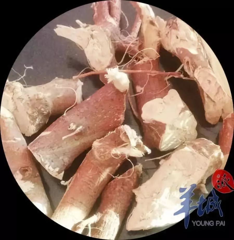 我们在菜市场也会买到这样的五指毛桃 图/陈辉华成坤介绍,五指毛桃的