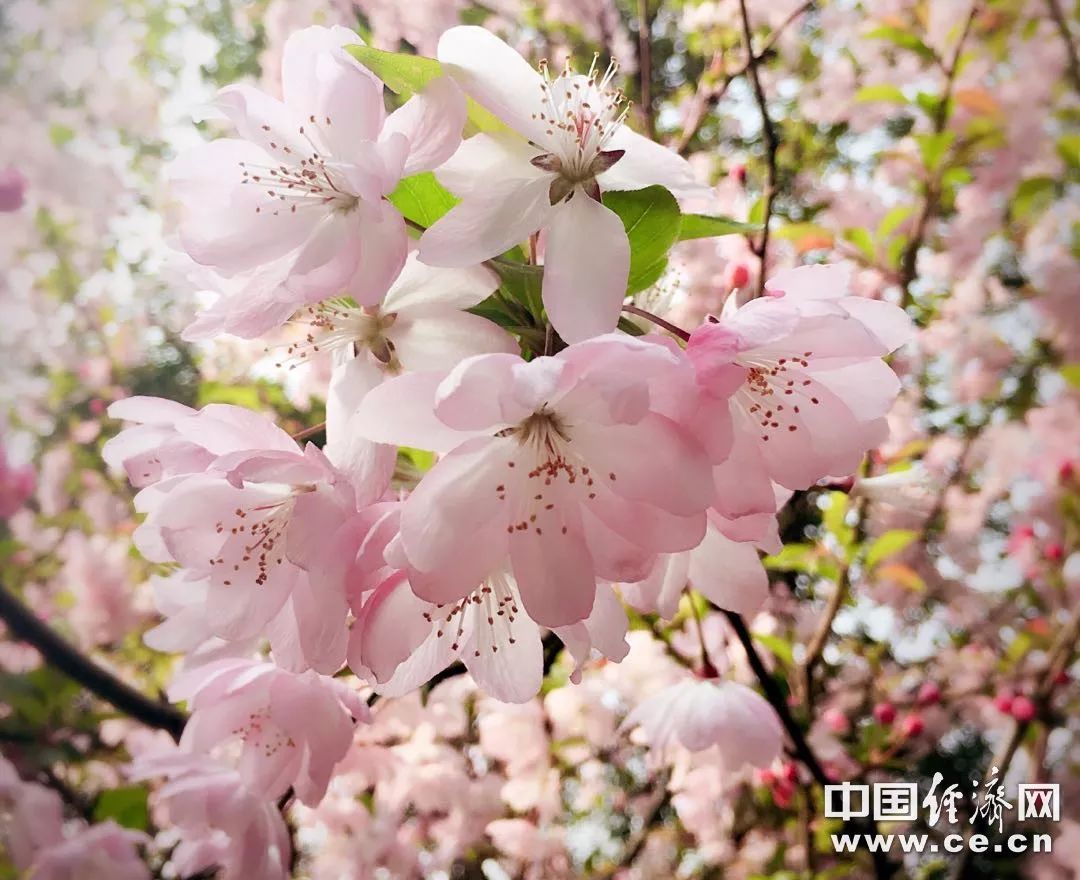 「中国经济网」养出感恩的孩子，是一个家庭最大的福气 | 可读