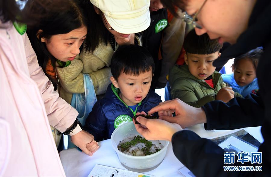 新华网：2019北京自然观察节开幕