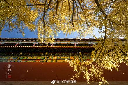 #光明网#故宫原来可以这么美！他花6年时间拍3万张照片记录故宫